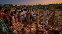 കൃഷിയിടത്തിൽ കള പറിക്കുമ്പോൾ കിട്ടിയത് 70 ലക്ഷത്തിന്റെ സ്വർണം! നിധി തപ്പിയിറങ്ങി നാട്ടുകാർ