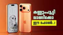 ആപ്പിൾ ഐഫോൺ 17 പ്രോ മാക്‌സ് ഇപ്പോൾ കുറഞ്ഞ വിലയ്ക്ക് വാങ്ങാം; വില 1,03,300 രൂപയോ..! എവിടെ കിട്ടും?