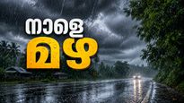 സംസ്ഥാനത്ത് വീണ്ടും മഴ, നാളെ ഈ 4 ജില്ലകളിൽ യെല്ലോ അലർട്ട്..കള്ളക്കടൽ ജാഗ്രത