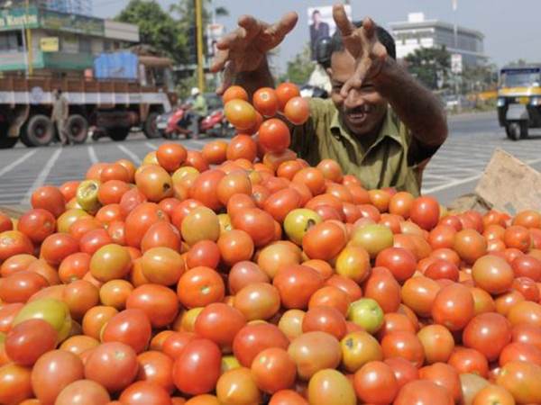 തക്കാളി കിലോയ്ക്ക് 30 പൈസ!