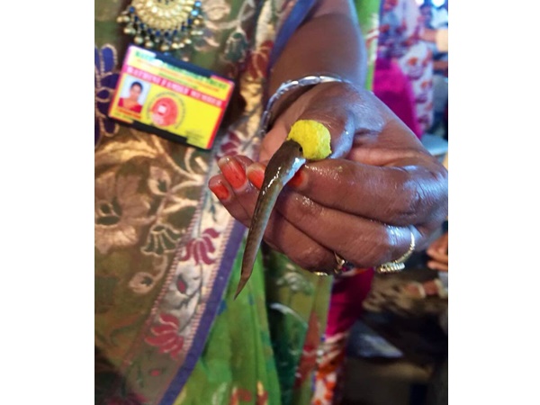 'മത്സ്യ പ്രസാദം' വിഴുങ്ങിയത് ആയിരങ്ങള്‍, ആസ്മ മാറുമെന്ന് വിശ്വാസം