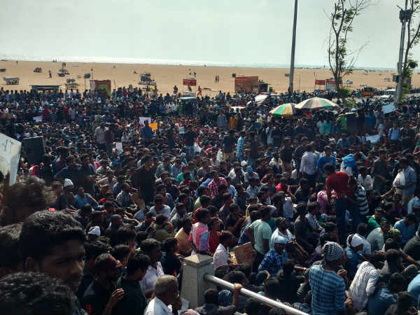 ജെല്ലിക്കെട്ട് നിരോധനം: വെള്ളവും വെളിച്ചവുമില്ലാതെ സമരക്കാര്‍..ഇടപെടില്ലെന്ന് മദ്രാസ് ഹൈക്കോടതി..!!