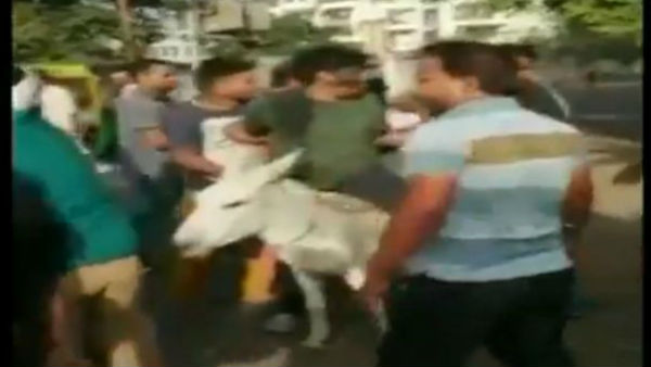 ബിഎസ്പി ദേശീയ നേതാവിന് പ്രവര്‍ത്തകരുടെ 'ശിക്ഷ'; ചെരുപ്പ് മാലയിട്ട് കഴുതപ്പുറത്ത് കയറ്റി, വീഡിയോ