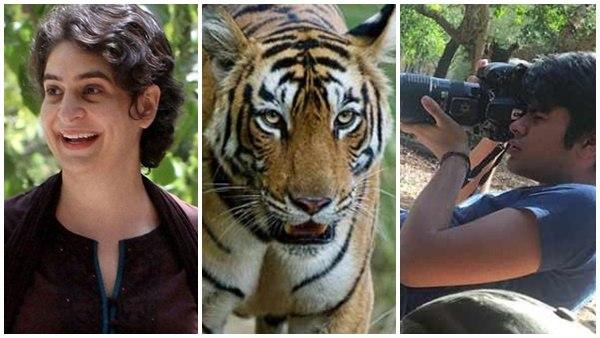 കാടുകയറി കടുവകളെ പകർത്തി വിസ്മയിപ്പിച്ച് പ്രിയങ്ക ഗാന്ധിയുടെ മകൻ റെയ്ഹാൻ; ;ചിത്രങ്ങൾ വൻ വൈറൽ