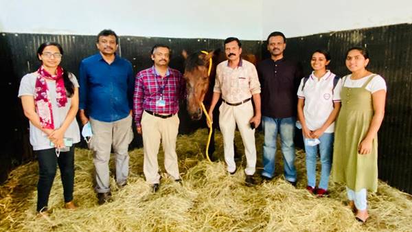 അത്യപൂര്‍വ്വ ശസ്ത്രക്രിയയിലൂടെ ശ്വാസം വീണ്ടെടുത്ത് പൊലീസിന്റെ മിടുക്കന്‍ കുതിര; കേരളത്തില്‍ ആദ്യം