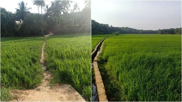തിരുവനന്തപുരത്തിന്റെ കുട്ടനാട് ഇവിടെയാണ്; സേവ് ദ ഡേറ്റ് ചിത്രങ്ങൾ വൈറൽ; ഫോട്ടോഗ്രാഫർമാർ തകർക്കും