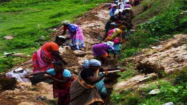 തൊഴിലുറപ്പ് കൂലി കൂട്ടി കേന്ദ്രം; കേരളത്തില്‍ 20 രൂപ വര്‍ധിച്ചു, പ്രതിദിനം 311 രൂപ