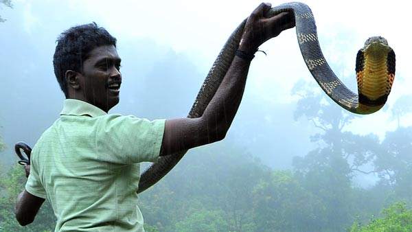 'വാട്‌സ്‌ആപ്പ് ഗ്രൂപ്പ് വരെ തനിക്കെതിരെ പ്രവർത്തിക്കുന്നു' ;  വനം വകുപ്പിനെതിരെ വാവ സുരേഷ്