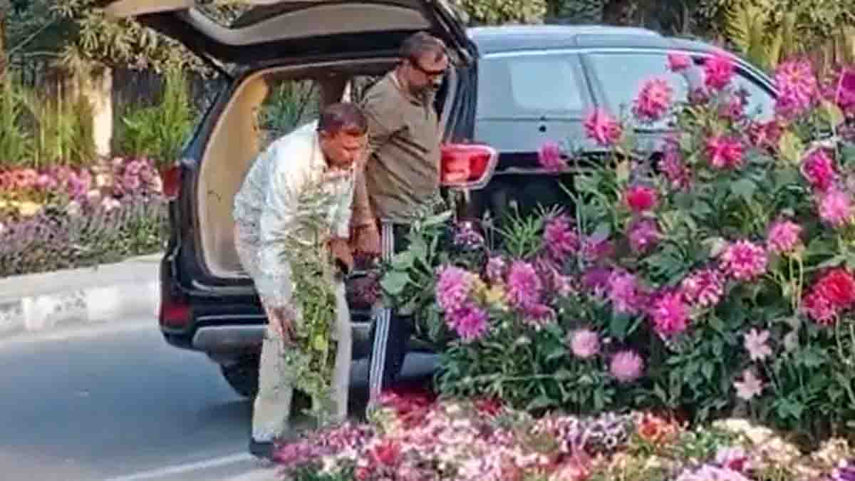 വിഐപി നമ്പര്‍ പ്ലേറ്റുള്ള ആഡംബര കാറിലെത്തി മോഷണം; മോഷ്ടിച്ചത് ജി 20 ഉച്ചകോടിക്കായി എത്തിച്ച പൂച്ചട്ടികള്‍