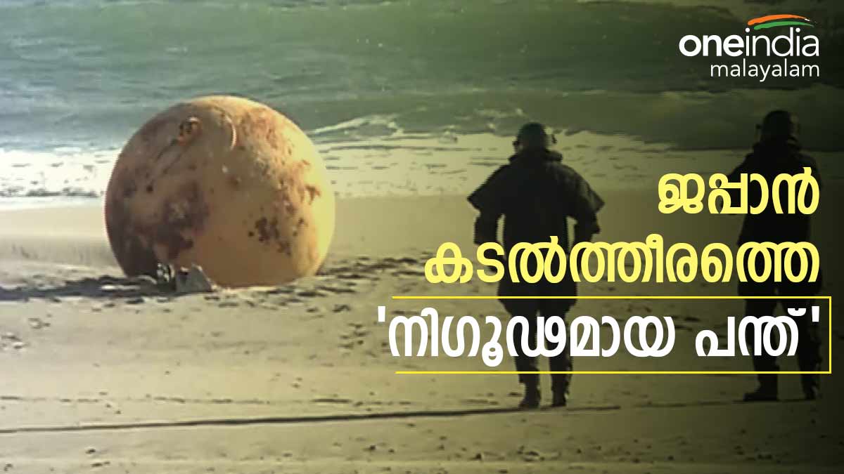 ജപ്പാനിലെ കടൽത്തീരത്ത് ഗോളാകൃതിയിലുളള കൂറ്റൻ അജ്ഞാത വസ്തു; എന്താണത്!! അമ്പരപ്പ്