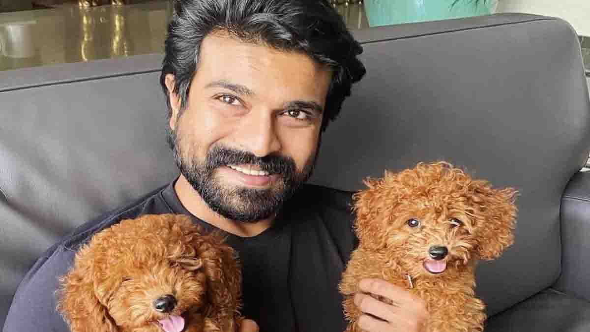 എവിടെ പോയാലും കൂടെക്കൂട്ടും... രാംചരണിന്റെ വളര്‍ത്ത് നായയുടെ വില എത്രയെന്നറിയാമോ?