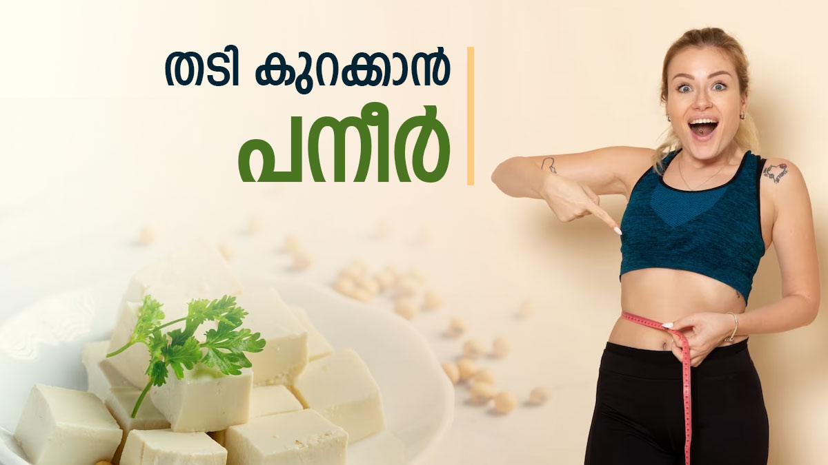 തടി കുറക്കാൻ തുനിഞ്ഞിറങ്ങിയോ?;  പട്ടിണി കിടക്കേണ്ട, 'പനീർ' നിങ്ങളെ സഹായിക്കും