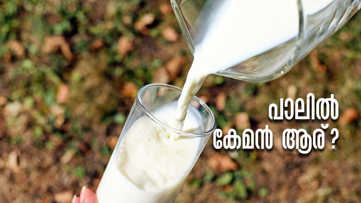ആട്ടിന്‍ പാലോ പശുവിന്‍ പാലോ...? ഏതാണ് മികച്ചത്? ഇനി സംശയം വേണ്ട