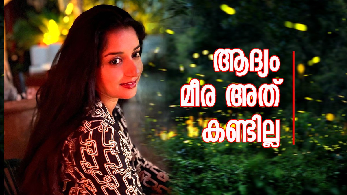 ഇൻസ്റ്റയിലെ പോസ്റ്റിന് കമന്റ്; ആദ്യം ശ്രദ്ധയിൽപ്പെട്ടില്ല; കണ്ടപ്പോൾ  മീരയുടെ മറുപടി ഇങ്ങനെ.. വൈറൽ