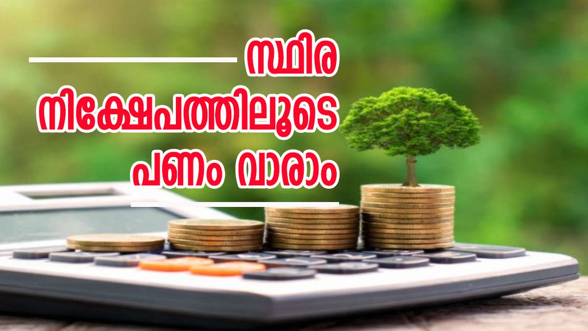 സ്ഥിര നിക്ഷേപം ഇനി വമ്പൻ ലാഭം തരും; ഈ പത്ത് ബാങ്കുകൾ ഏറ്റവും കൂടുതൽ പലിശ തരും, പട്ടിക ഇതാ...