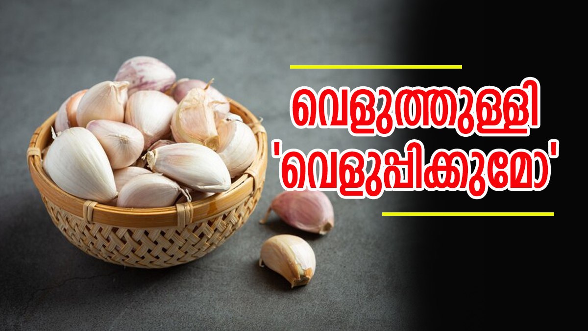 വെളുത്തുള്ളി കുടുംബം വെളുപ്പിക്കുമോ? വില കത്തിക്കയറുന്നു, പല വിഭവങ്ങളിൽ നിന്നും പുറത്ത്..