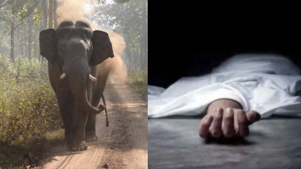 വയനാട്ടിൽ കാട്ടാന ആക്രമണത്തിൽ സ്ത്രീ കൊല്ലപ്പെട്ടു; ഭർത്താവിന് ഗുരുതര പരിക്ക്, സംഭവം നടന്നത് പരപ്പൻപാറയിൽ