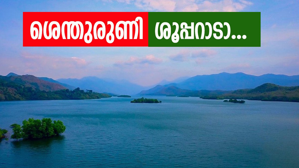ഒരു മരത്തിന്റെ പേരിൽ അറിയപ്പെടുന്ന വന്യജീവി സങ്കേതം; ശെന്തുരുണി സൂപ്പറാണ്, ട്രെക്കിംഗും ക്യാമ്പിംഗും പൊളിക്കും