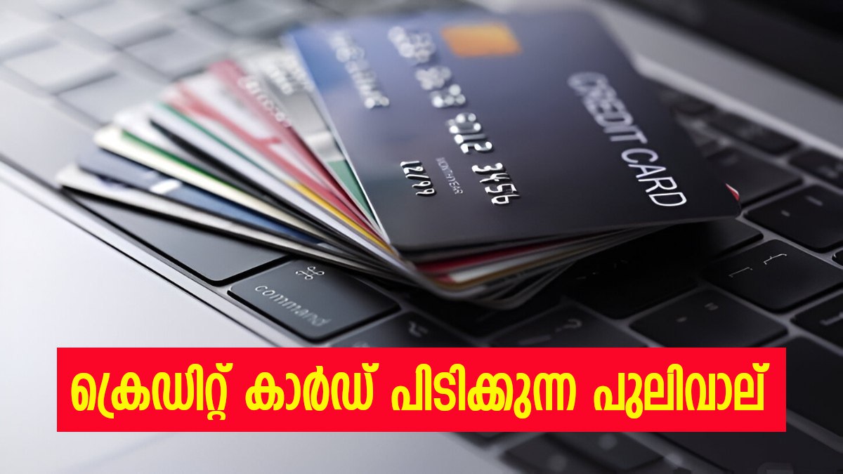 ഒന്നിലധികം ക്രെഡിറ്റ് കാർഡുകൾ ഉണ്ടോ? എങ്കിൽ ഇക്കാര്യങ്ങൾ നിർബന്ധമായും ശ്രദ്ധിക്കണം, ഇല്ലെങ്കിൽ...