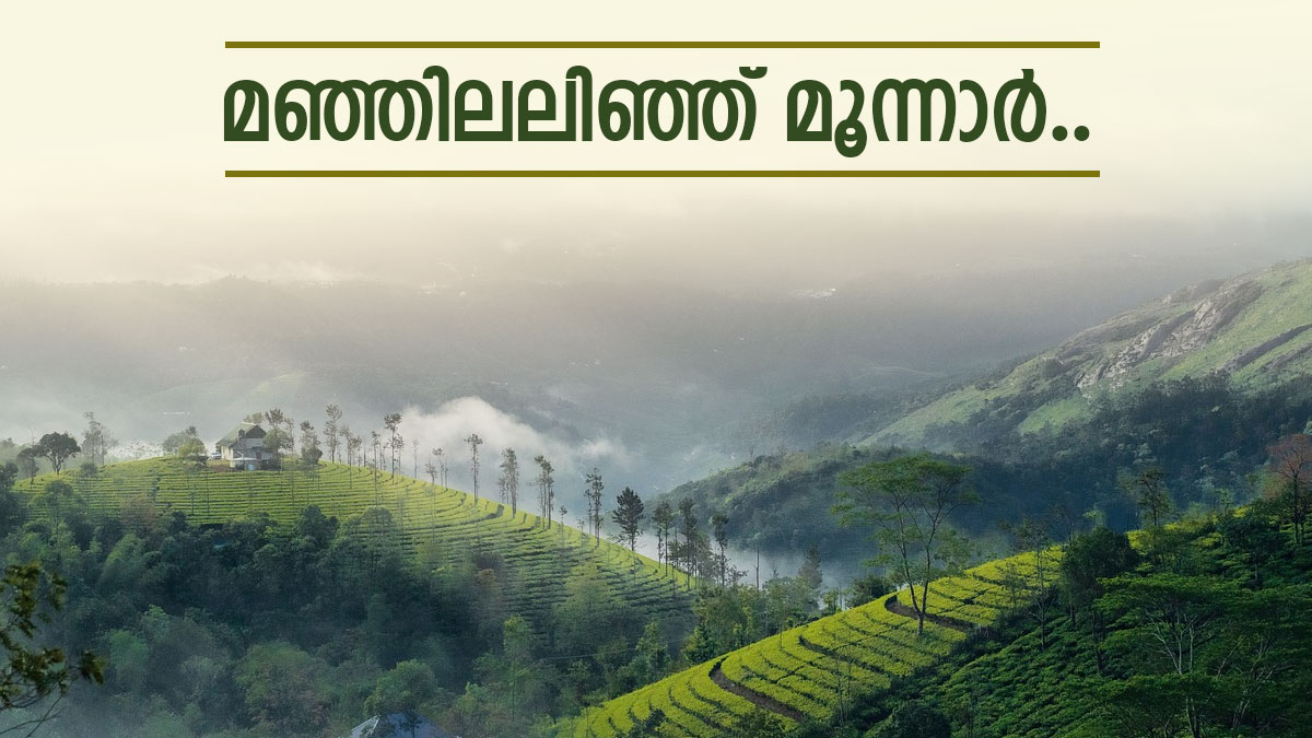 താപനില പൂജ്യത്തിലെത്തി; മൂന്നാറിലേക്ക് സഞ്ചാരികളുടെ ഒഴുക്ക്,  ന്യൂയര്‍  ആഘോഷിക്കാന്‍ വിട്ടോളൂ..