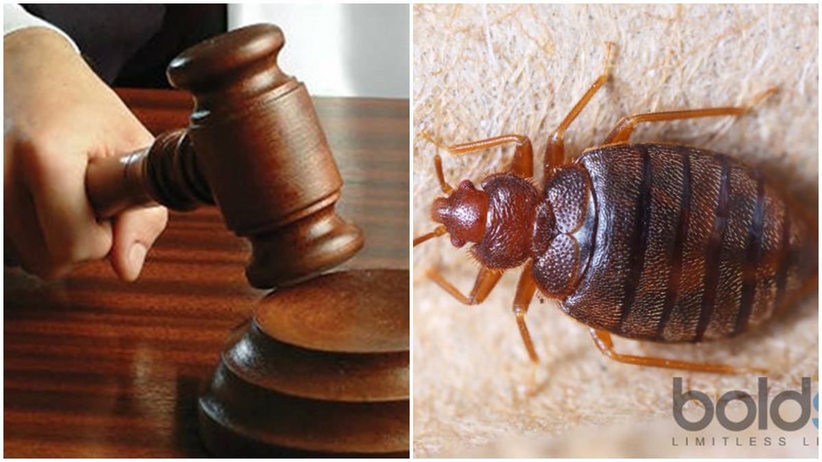 ബസ് യാത്രക്കിടെ മൂട്ട കടിച്ചു; നടന്റെ ഭാര്യയ്ക്ക് 1.29 ലക്ഷം രൂപ നഷ്ടപരിഹാരം നൽകാൻ വിധി..