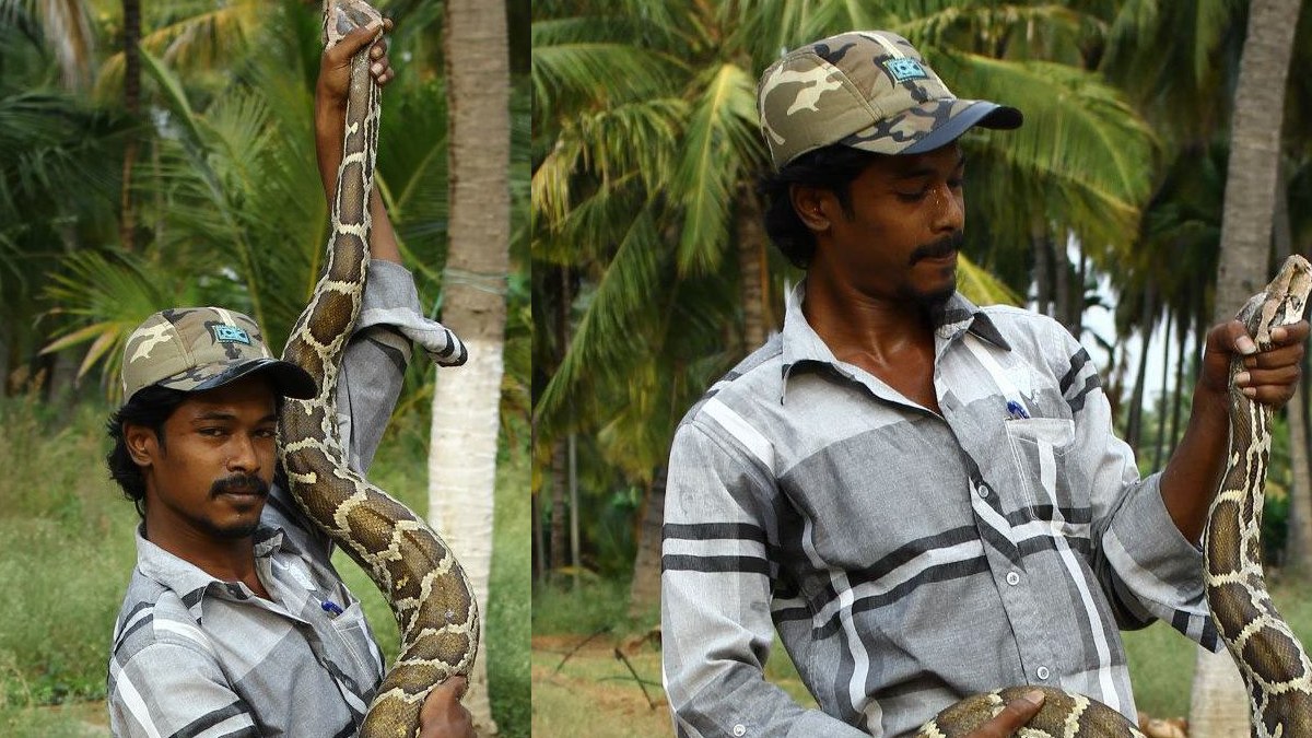 15 വര്‍ഷമായി പാമ്പ്പിടിത്തം; മൂര്‍ഖനെ പിടികൂടാനുള്ള ശ്രമത്തിനിടെ  പാമ്പുപിടിത്തക്കാരന്‍ കടിയേറ്റ് മരിച്ചു