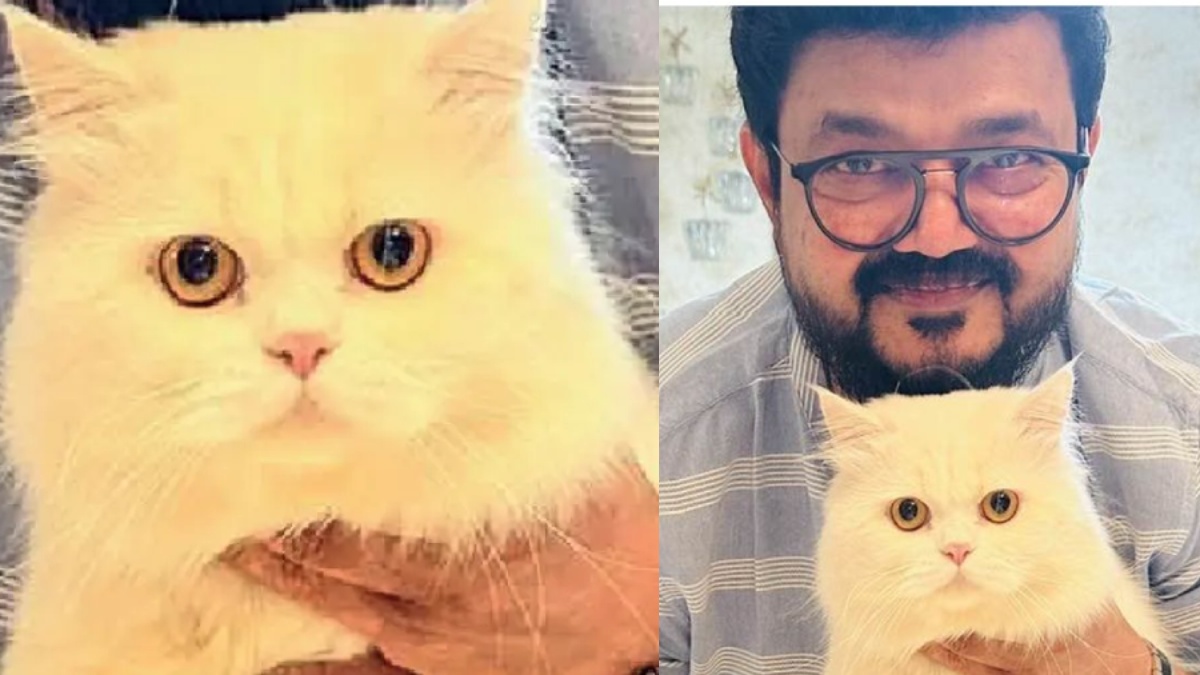 നാദിര്‍ഷയുടെ പേര്‍ഷ്യന്‍ പൂച്ചയുടെ മരണം; പോസ്റ്റ്‌മോര്‍ട്ടം റിപ്പോര്‍ട്ട് പുറത്ത്: മരണകാരണം ഇതാണ്