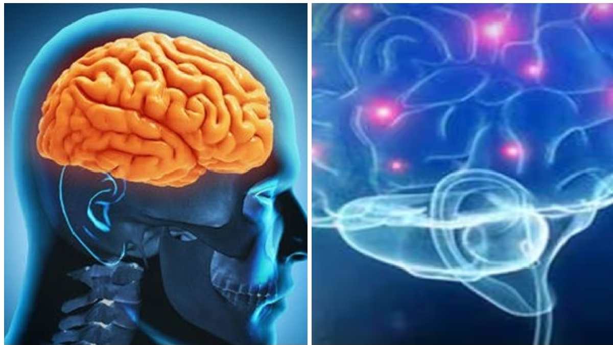 അമീബിക് മസ്തിഷ്‌ക ജ്വരം; ജാഗ്രത മാത്രം മതിയോ? ആരോഗ്യ വകുപ്പിന്റെ പുതിയ കണക്കുകള്‍ ഞെട്ടിക്കുന്നത്