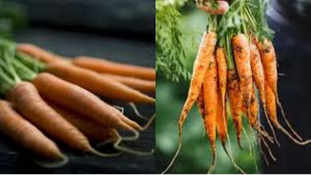 സൗന്ദര്യത്തിന് മാത്രമല്ല; കാരറ്റ് തൊലികള്‍ കൊണ്ട് അടുക്കളയില്‍ ഒരുപാട് ഗുണങ്ങളുണ്ട്