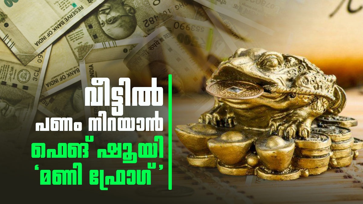 ഈ മൂന്ന് കാലുള്ള തവളയെ വീട്ടിൽ വെക്കൂ; സമ്പത്ത് ഒഴുകിയെത്തും; പക്ഷേ ഈ തെറ്റ് ചെയ്യരുത്!