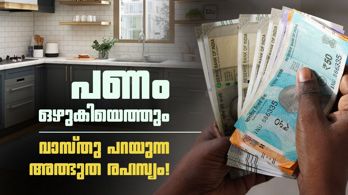വീടിന്റെ ഈ ഒരു മൂലയിൽ ഇതൊന്ന് വെച്ചു നോക്കൂ; പണം ഒഴുകിയെത്തുമെന്ന് വാസ്തു ശാസ്ത്രം!