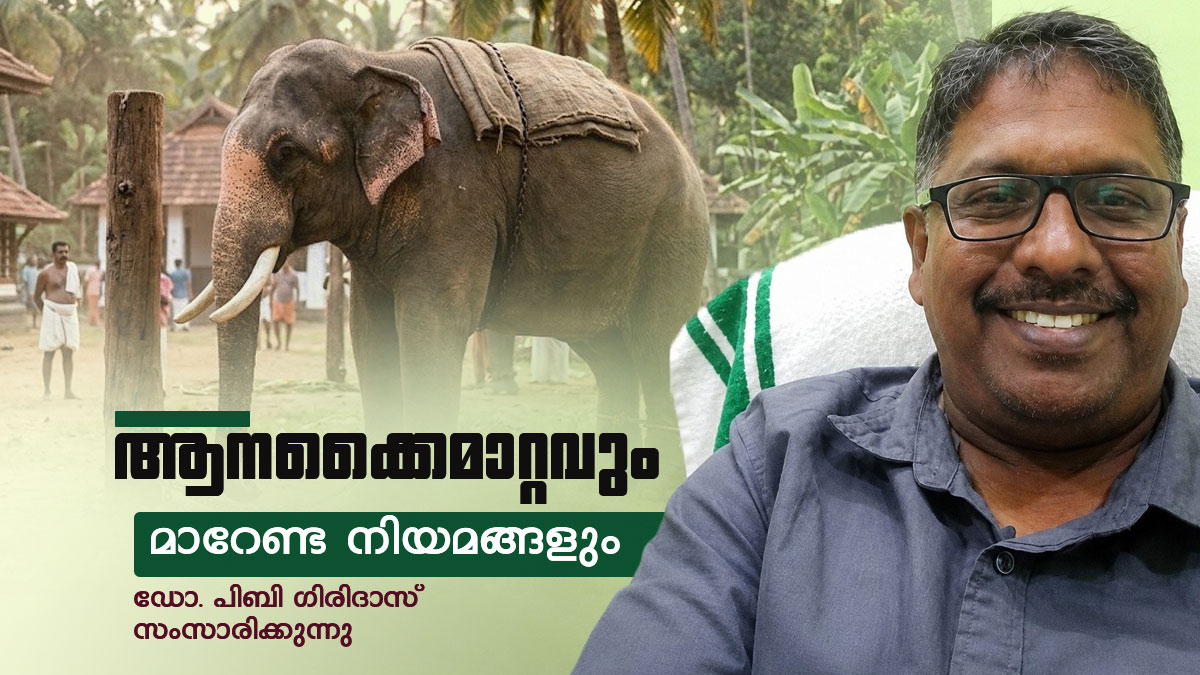 മൂകാംബികയിലേക്ക് ആനയെ ചോദിച്ച് കർണാടക, കേരളം വിട്ടുകൊടുക്കുമോ? നിയമങ്ങൾ പറയുന്നത് ഇങ്ങനെ