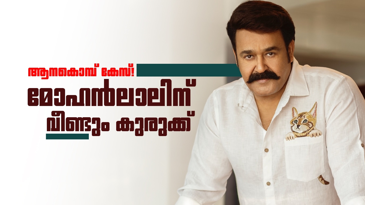 5 ജോഡി ആനക്കൊമ്പുകളും 13 ശില്പങ്ങളും; മോഹൻലാലിന്റെ ആനക്കൊമ്പ് ശേഖരത്തിൽ വീണ്ടും കുരുക്ക്