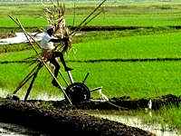 Kuttanad Package Kuttanad Package