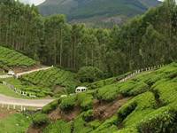 Munnar Munnar