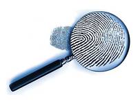 Investigation Investigation