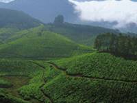 Munnar Munnar