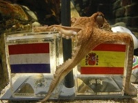 Paul Octopus Paul Octopus