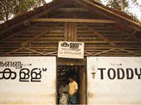 Todddy Shop Todddy Shop