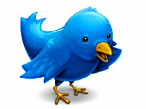 Twitter Twitter