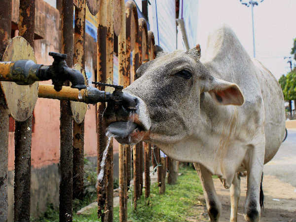വടക്കേ ഇന്ത്യ ചുട്ട് പൊള്ളുന്നു