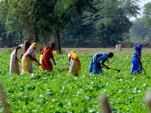 ജാർഖണ്ഡിലെ എൻആർഇജിഎ സംഘർഷ് മോർച്ചയുമായി