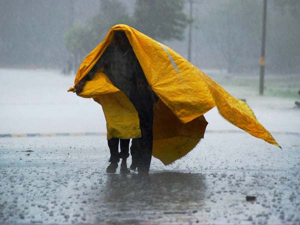 കുടയെക്കാള്‍ രക്ഷ