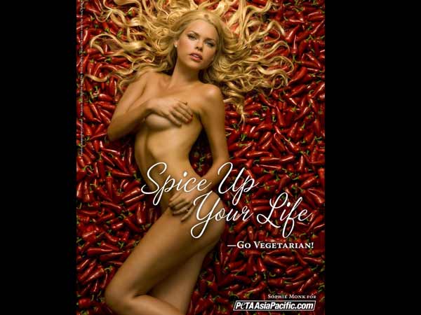 സോഫി മോങ്ക്