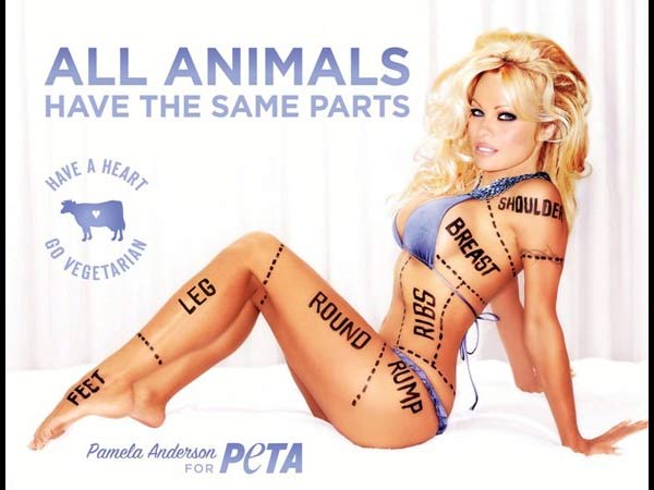 പമേല ആന്‍ഡേഴ്‌സണ്‍