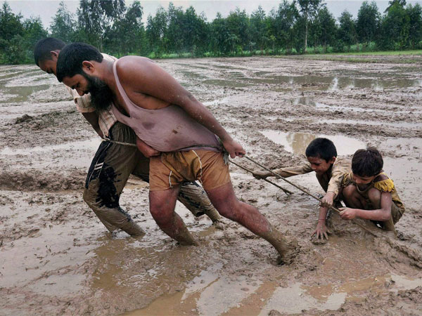 നിലം ഒരുക്കുന്നു
