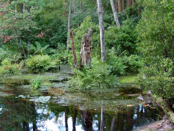 ബ്രിഡ്ജ് വാട്ടര്‍ ട്രയാംഗിള്‍ 