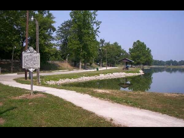 പോയിന്റ് പഌന്റ്