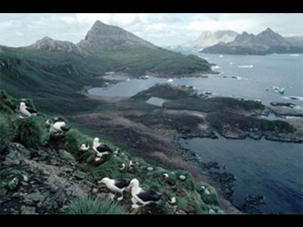 സൗത്ത് അറ്റലാന്റിക് അനോമലെ