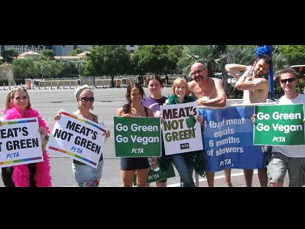 എന്താണ് പെറ്റ എന്താണ് പെറ്റ